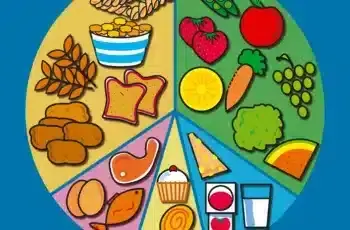How to Maintain a Balanced Diet for Optimal Health